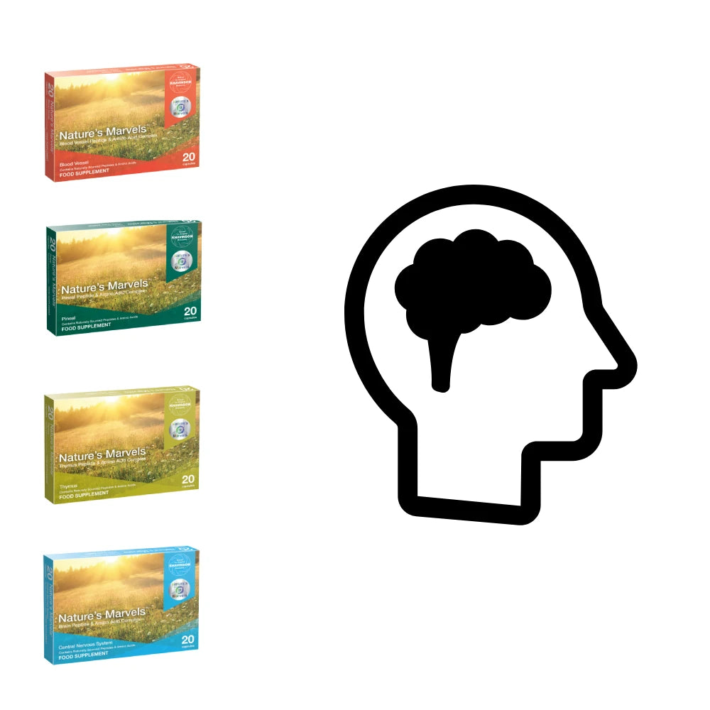 Brain Function Stack